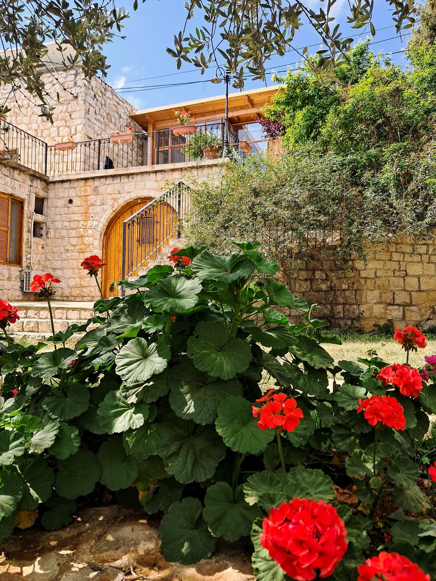 Abdelli Terraces