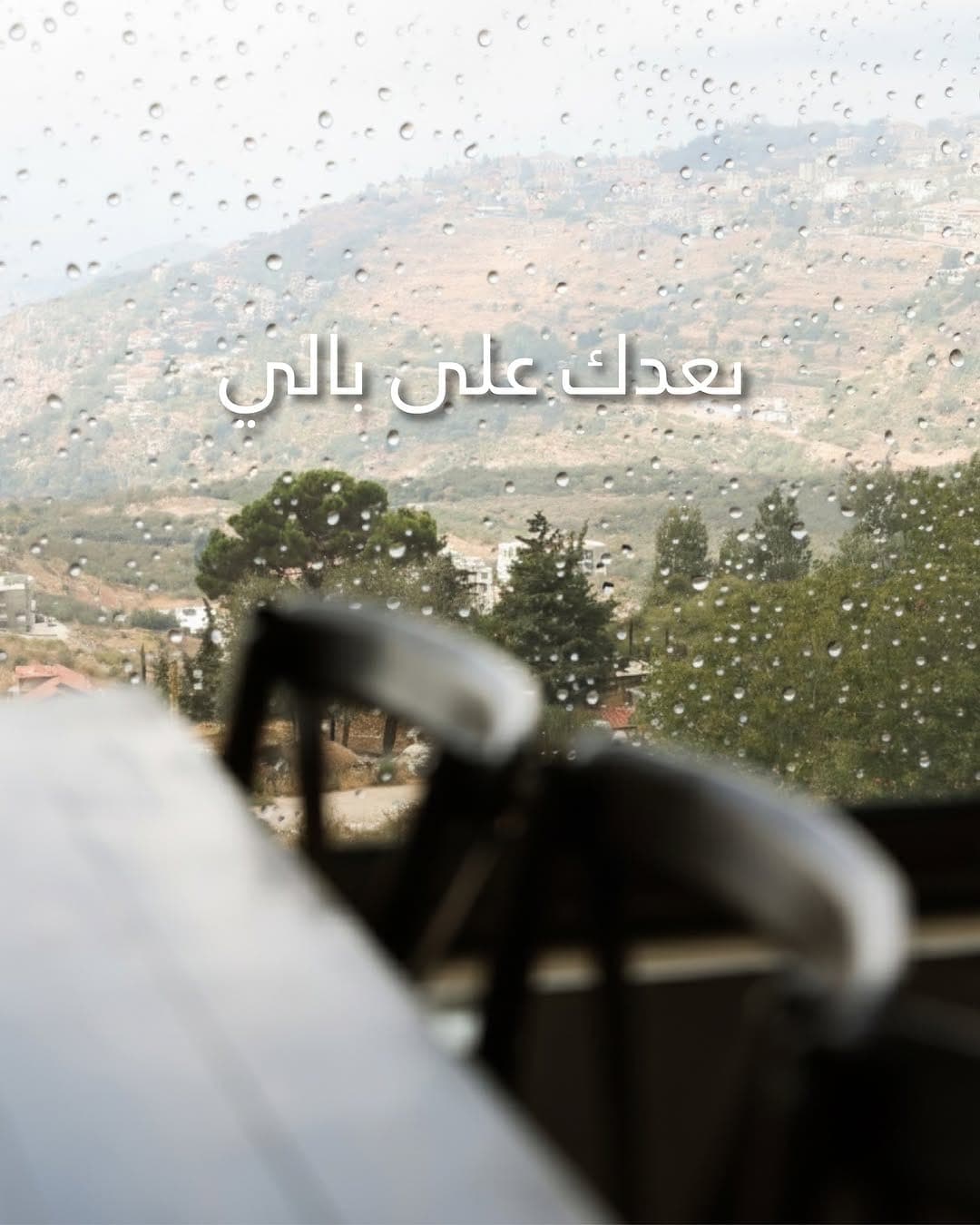 Reef Ehden photo 1