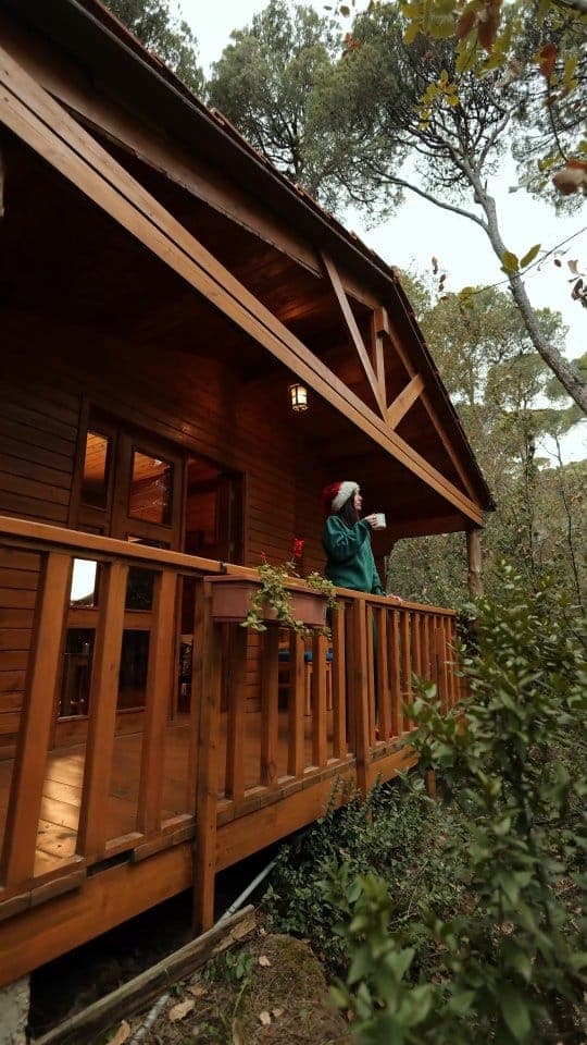 La Maison de la Forêt photo 1